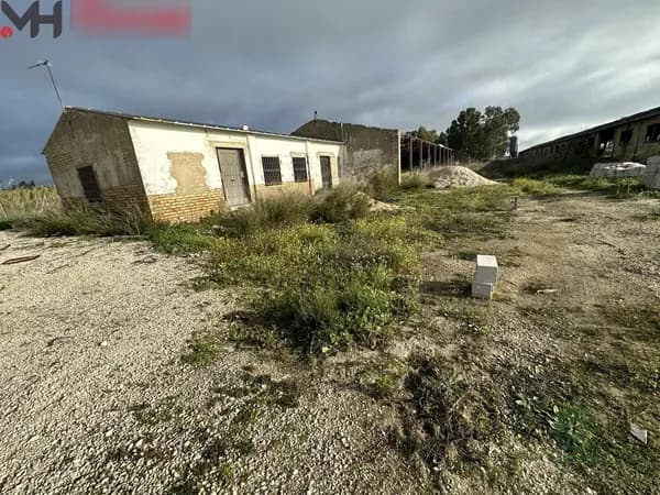 Finca rústica de 4,5932 ha en venta en Arahal, Sevilla