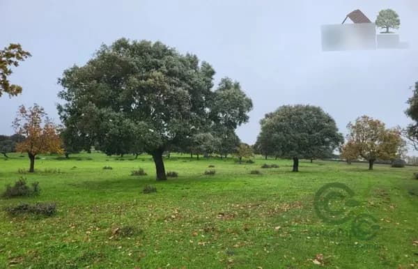 Finca ganadera de 200 ha en venta en Salamanca