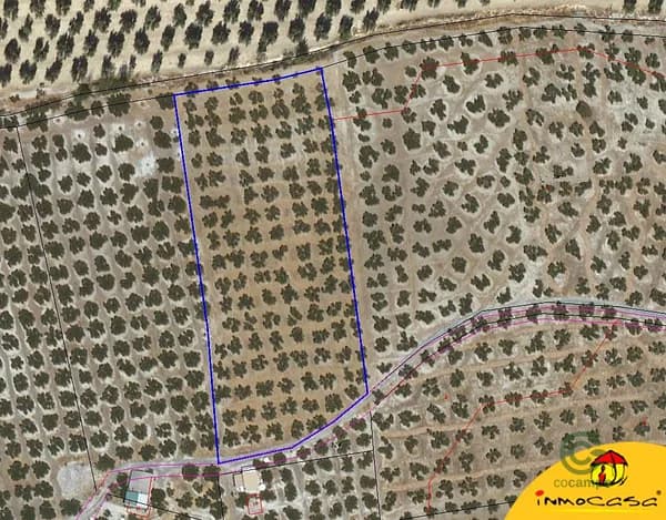 Finca agrícola de 1,536 ha en venta en Alcala la real, Jaen