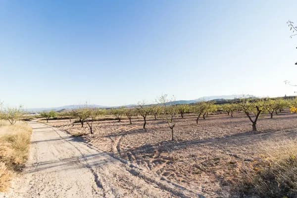 Finca agrícola de 15 ha en venta en Murcia