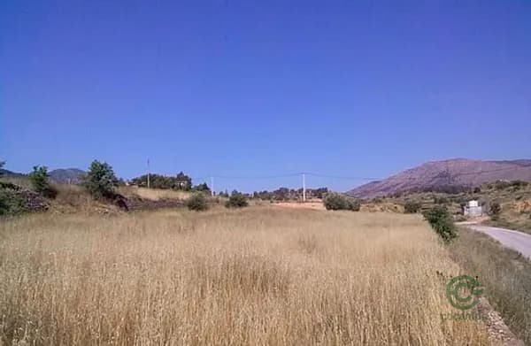 Finca agrícola de 1,455 ha en venta en La romana, Alicante