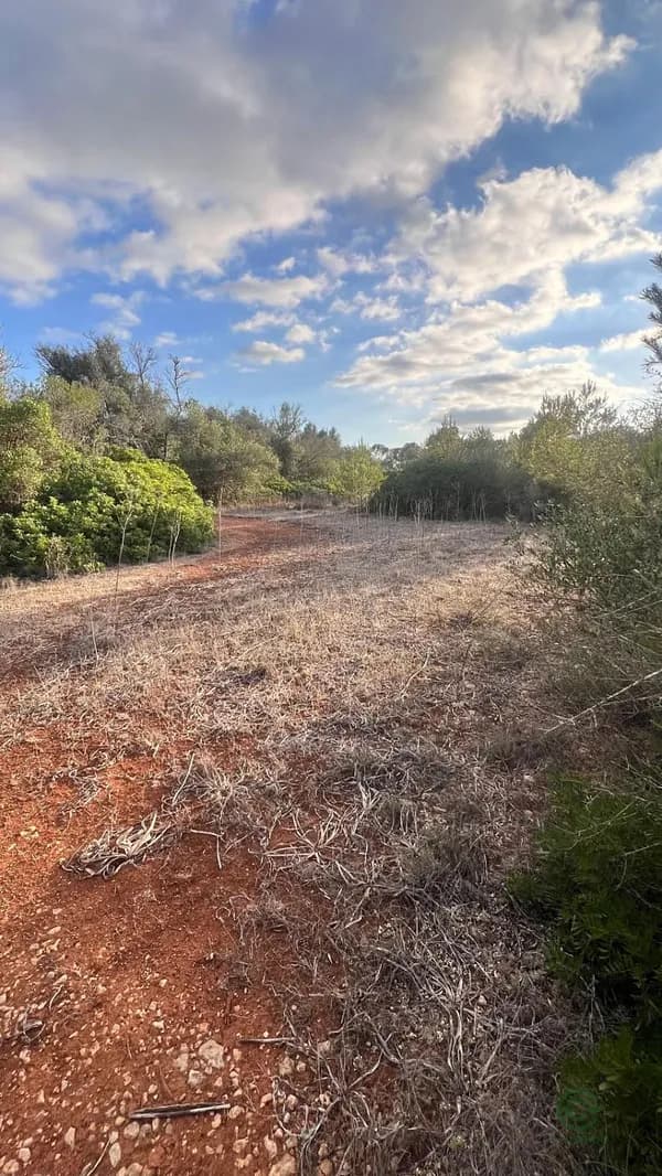 Finca de recreo de 1,55 ha en venta en Algaida, Islas baleares