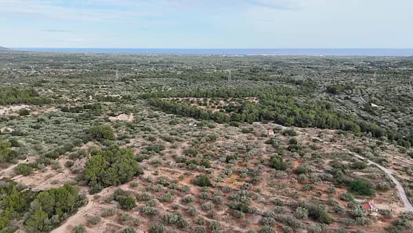 Finca rústica de 4,56 ha en venta en El perello, Tarragona