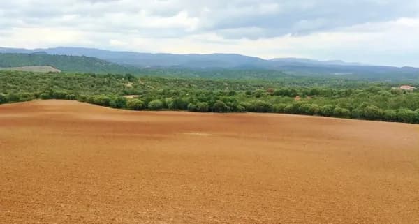 Finca rústica de 170 ha en venta en Teruel