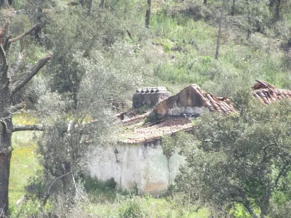 House of 10 ha for sale in Santarém