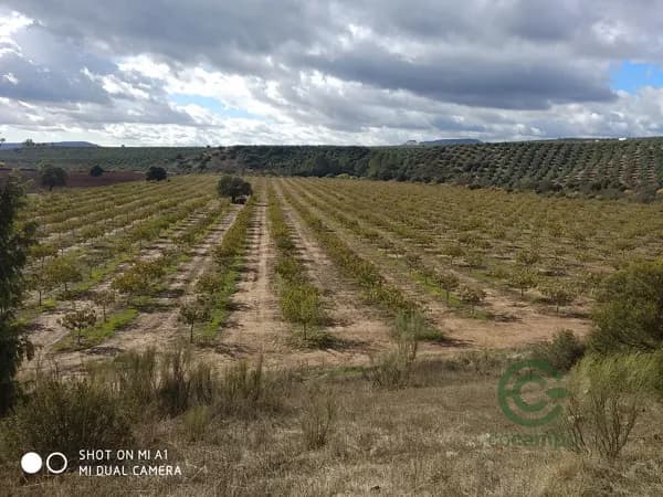 Finca agrícola de 14 ha en venta en Jaén