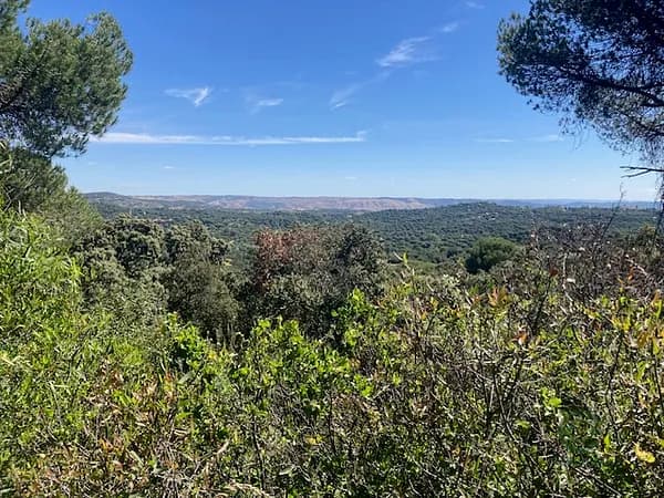 Finca rústica de 100 ha en venta en Córdoba