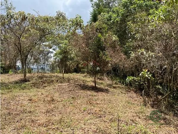 Finca rústica de 0,795 ha en venta en Antioquia