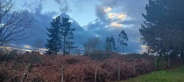 Finca rústica de 1,4 ha en venta en Llanera, Asturias