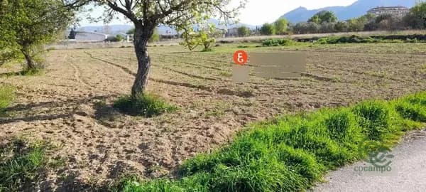 Finca agrícola de 0,17 ha en venta en Muro de alcoy, Alicante