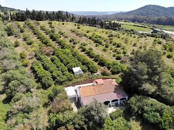 Finca rústica de 25 ha en venta en Cádiz