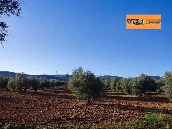 Finca agrícola de 1,19 ha en venta en Valdepenas, Ciudad real