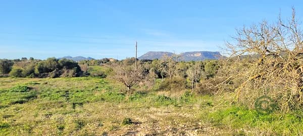 Finca rústica de 0,7083 ha en venta en Llucmajor, Baleares