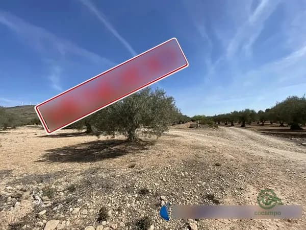 Finca agrícola de 0,7628 ha en venta en Caudete, Albacete