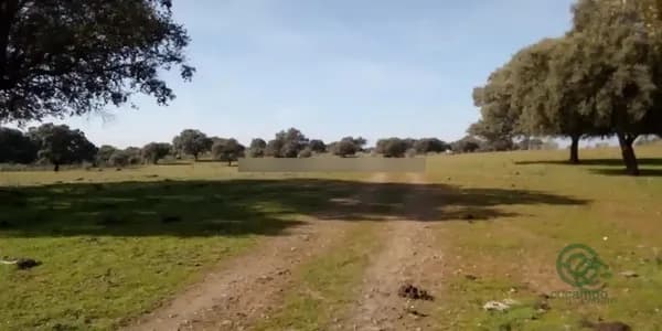 Finca rústica de 18,02 ha en venta en Parrillas, Toledo