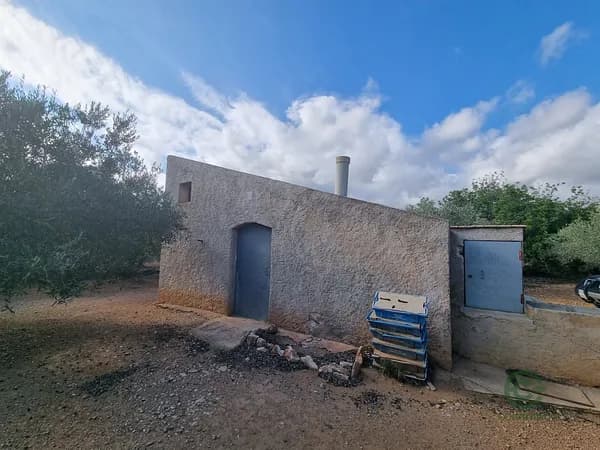 Finca agrícola de 2,6283 ha en venta en L` ampolla, Tarragona