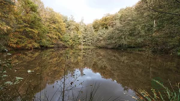 Propriété rustique de 2,5 ha pour vente à Bourgogne-franche-comté