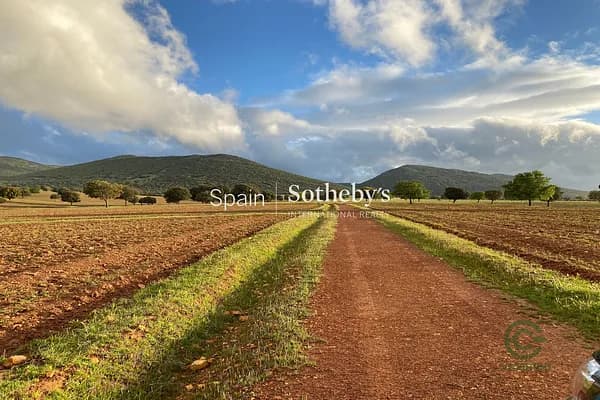 Finca rústica de 2000 ha en venta en Ciudad real