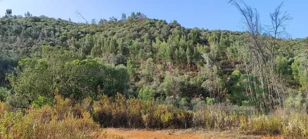 Finca rústica de 300 ha en venta en Huelva
