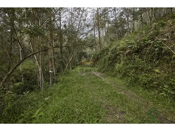 Finca de recreo de 0,2177 ha en venta en Antioquia