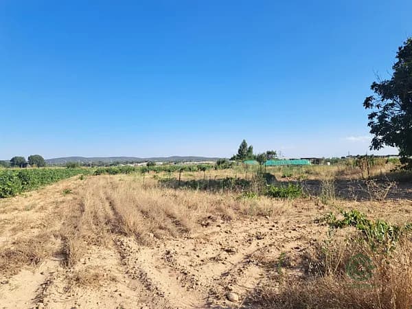 Finca rústica de 0,6071 ha en venta en Requena, Valencia