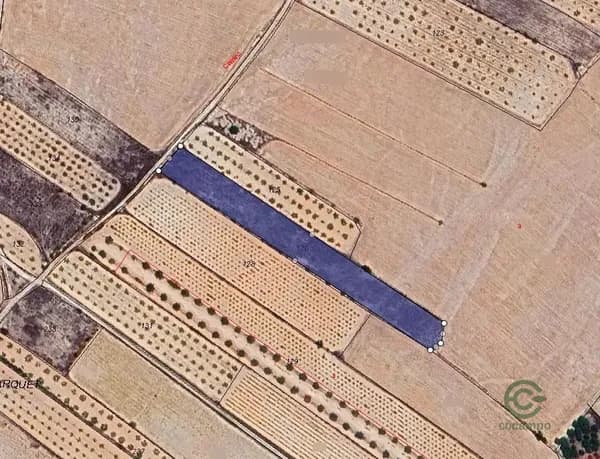 Finca rústica de 0,4401 ha en venta en Monovar - monover, Alicante