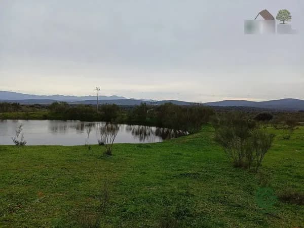 Finca ganadera de 90 ha en venta en Cáceres