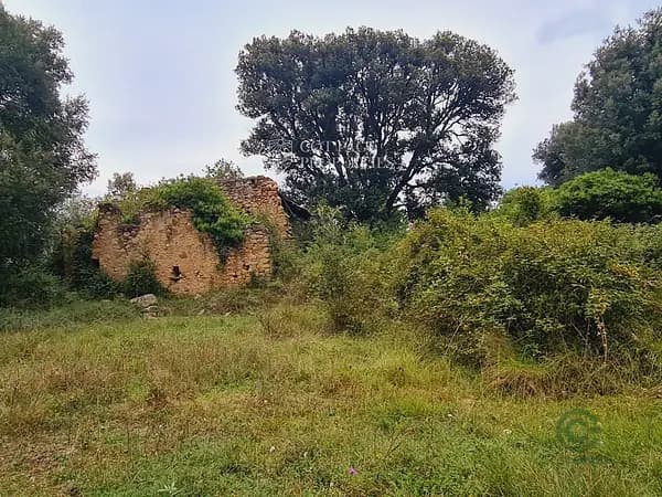 Finca de recreo de 16 ha en venta en Amer, Girona