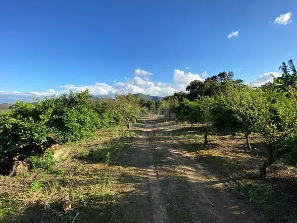 Fazenda rustica de 15 ha para venda em Santa catarina