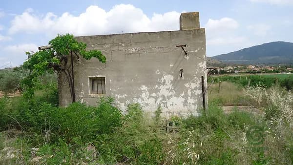 Agricultural property of 0,72 ha for sale in Alicante