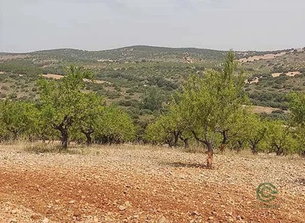 Finca de recreo de 367 ha en venta en Albacete