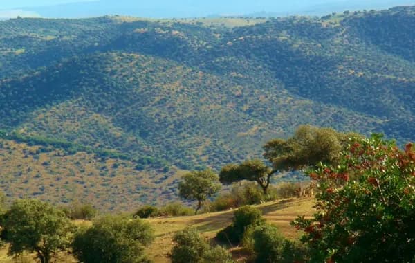 Finca rústica de 700 ha en venta en Jaén