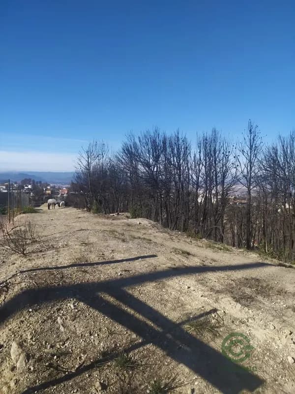 Finca rústica de 1 ha en venta en Barcelona