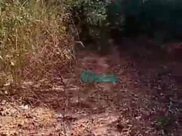 Fazenda de recreação de 1 ha para venda em Minas gerais