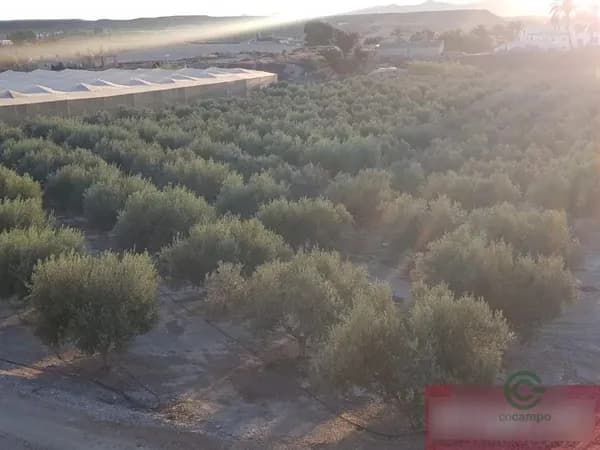 Finca rústica de 3 ha en venta en Cuevas del almanzora, Almería