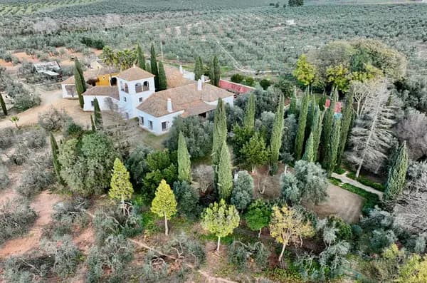 Finca rústica de 8 ha en venta en Sevilla