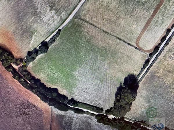 Finca agrícola de 0,33 ha en venta en Puerto real, Cádiz