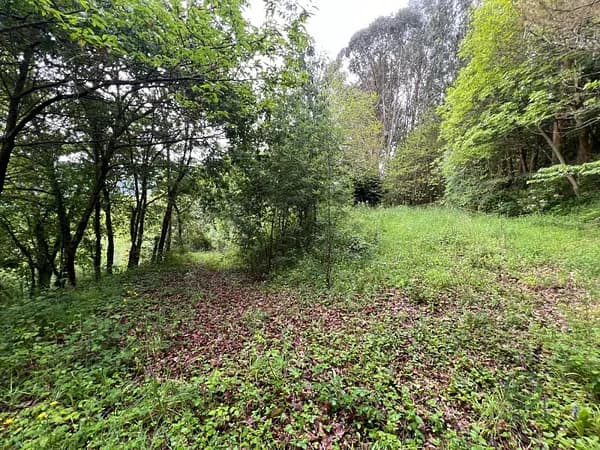 Finca rústica de 0,35 ha en venta en Baralla, Lugo
