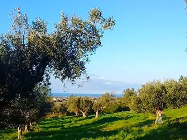 Finca agricola di 4,89 ha per vendita a Lazio
