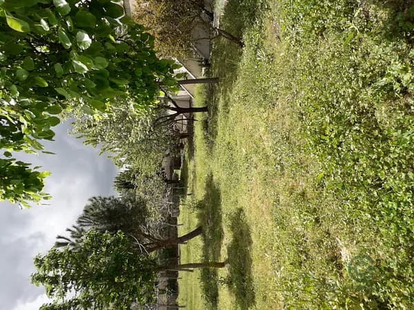 Terreno urbano de 0,9 ha en venta en Guadalajara