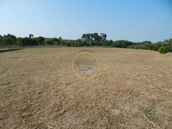 Finca rústica de 1,4943 ha en venta en Albaida, Valencia