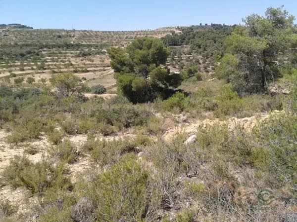 Finca rústica de 2,4 ha en venta en Llardecans, Lleida