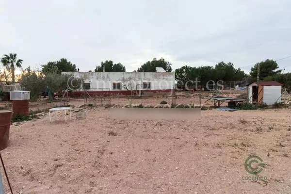 Finca rústica de 0,6 ha en venta en Crevillent, Alicante