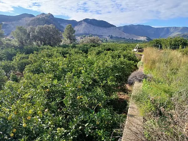 Finca agrícola de 17 ha en venta en Valencia