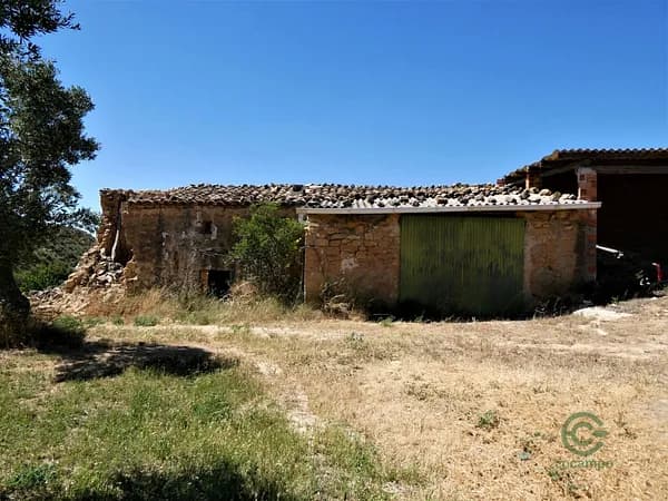 Finca rústica de 2,56 ha en venta en Caspe, Zaragoza
