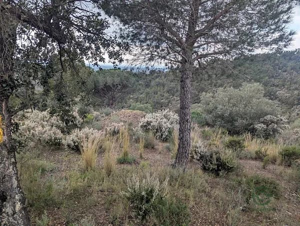 Finca rústica de 3,2 ha en venta en Garriguella, Girona