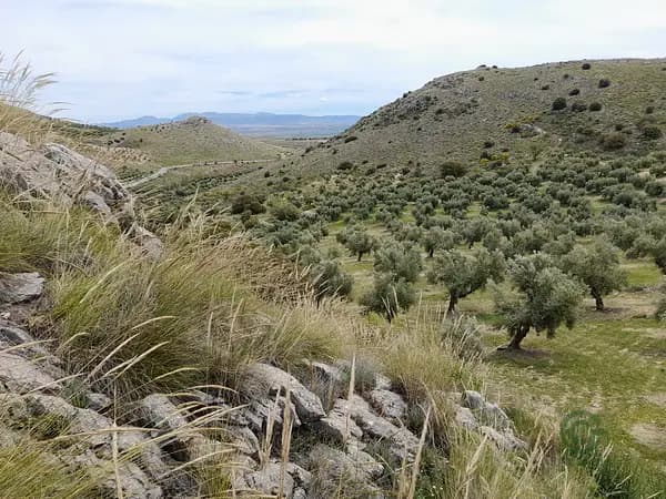 Finca agrícola de 11 ha en venta en Granada