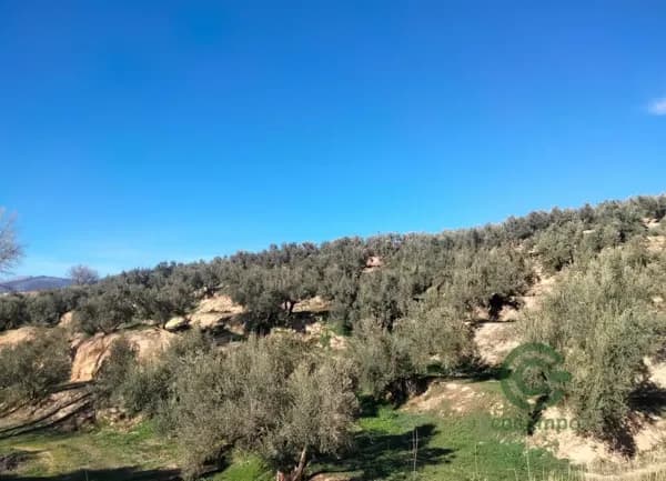 Finca agrícola de 1 ha en venta en Jaén