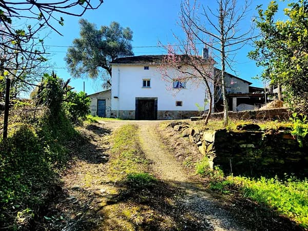Finca rústica de 7 ha en venta en Villayon, Asturias