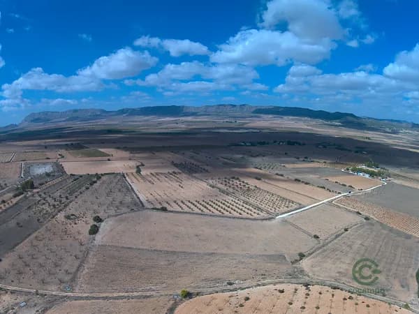 Finca agrícola de 6,21 ha en venta en Murcia